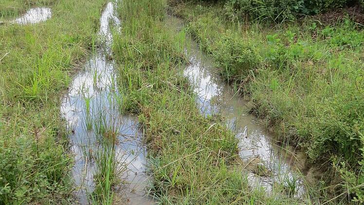 Foto: Stephan Neumann