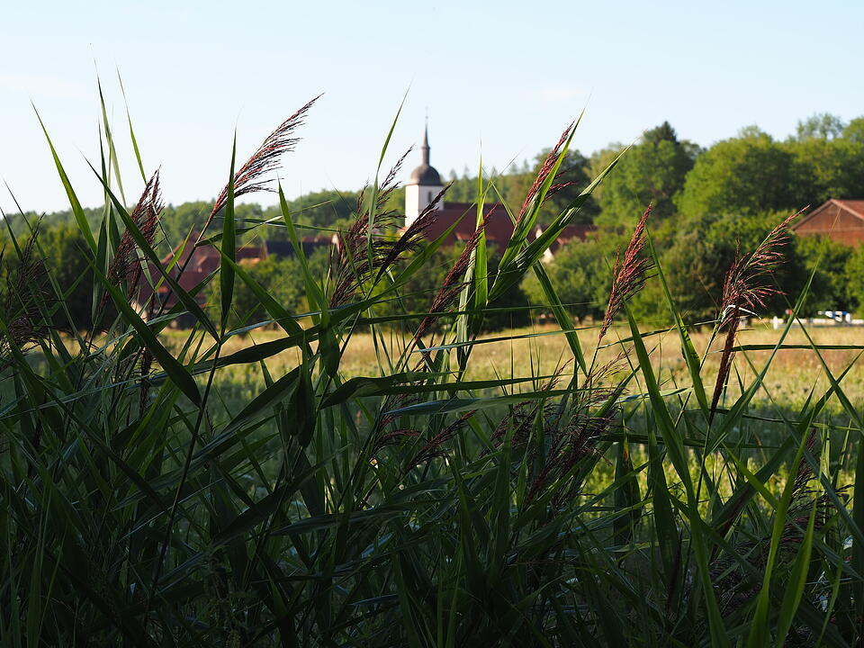 Das verlassene Dorf Bonnland darf bei einer Wanderung durch den Truppenübungsplatz Hammelburg nicht fehlen. Foto: Jürgen Schmitt