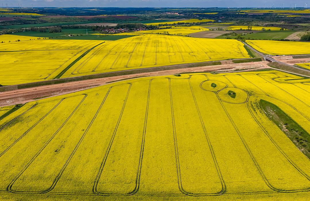 Landwirtschaft in Sachsen-Anhalt