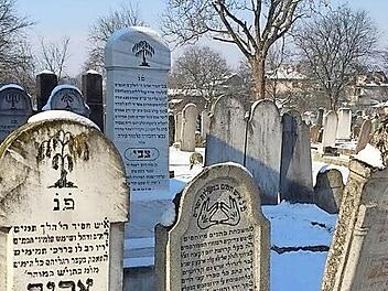 Die Spuren jüdischen Lebens in Europa erforschen Gymnasiasten aus Haßfurt im Rahmen eines Erasmus-Projekts der Europäischen Union. Foto: Sabine Weinbeer