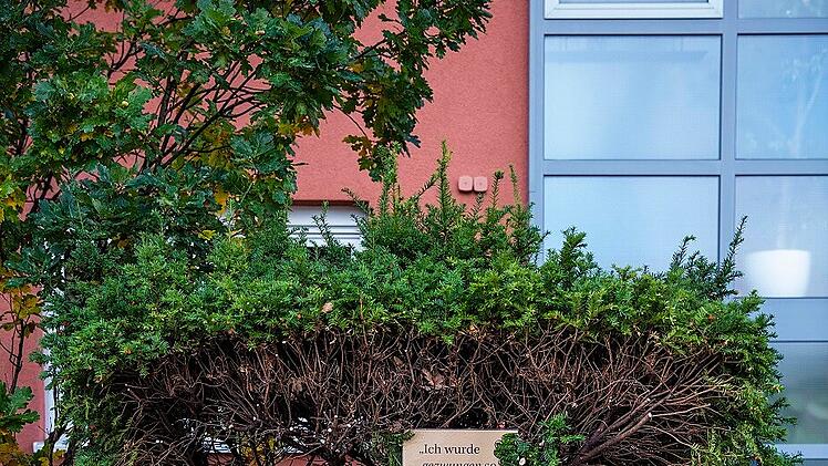 Stadt Erlangen verlangt Busch-Beschneidung - Hotel reagiert mit Humor: "Sch&auml;me mich f&uuml;r diesen Anblick"