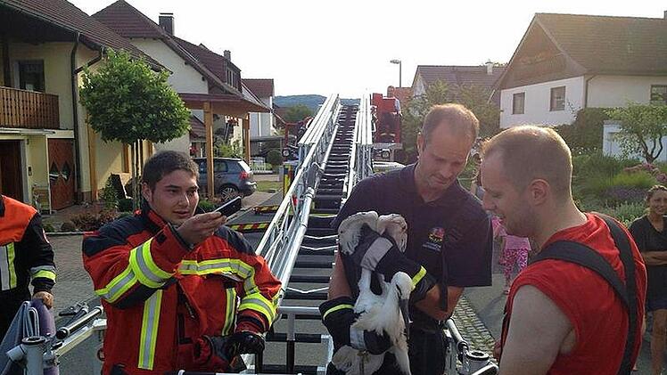 Die Feuerwehrmänner haben den Storch über die Drehleiter in Sicherheit gebracht.