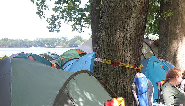 Rock im Park 2019: Eichen-Prozessionsspinner gefährdet Festival-Besucher - die scheint es nicht zu stören