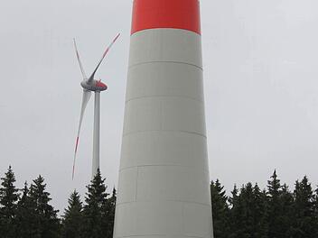 Die Windräder ragen weit über die Baumwipfel hinaus.  Foto: Friedwald Schedel