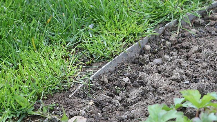 Rasenkanten aus Aluminium verhindern, dass sich Gras über Wurzeln in die Beete ausbreitet. Sie sind pflegeleicht (rostfrei), fast unsichtbar, und der Rasenmäher gleitet problemlos drüber hinweg. Foto: Barbara Herbs