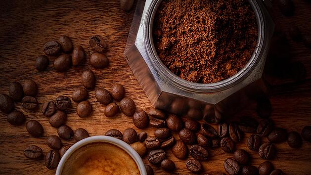 Teuerster Kaffee der Welt ist der indonesische Kopi Luwak - er besteht aus Ausscheidungen des Fleckenmusangs.