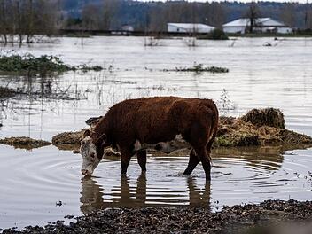 &Uuml;berschwemmungen im US-Staat Washington