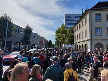 "Globaler Klimastreik" in Bamberg: Senioren schlie&szlig;en sich Jugend an - "ihre Welt kaputt gemacht"