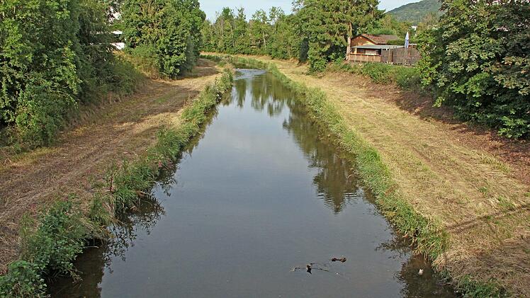 Blick auf die Itz mit gemähten Uferstreifen am Dammweg: Die Mäharbeiten des Kronacher Wasserwirtschaftsamtes haben nicht bei jedem Coburger Begeisterung ausgelöst. Foto: Horst Schunk