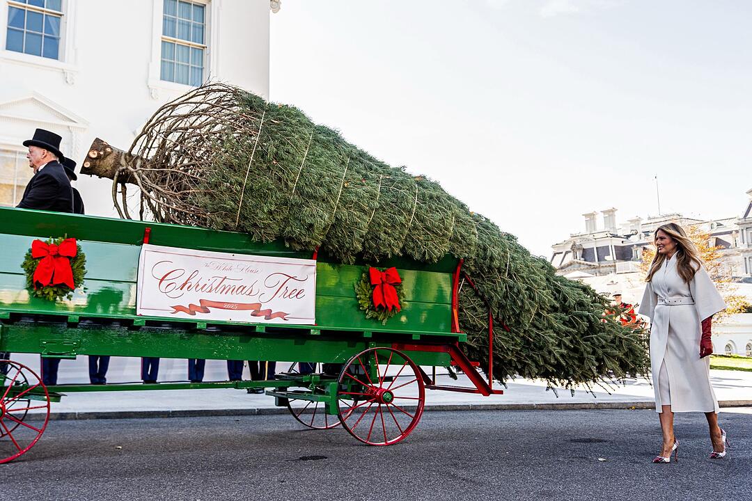 Ankunft des Weihnachtsbaums im Weißen Haus
