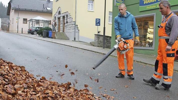 Die Arbeit mit dem Laubbläser geht Vitali Agne (32) gut von der Hand. Der Ukrainer arbeitet beim Bauhof in Grafengehaig, Klaus Keil (rechts) hat ihn unter seine Fittiche genommen. Fotos: Sonja Adam