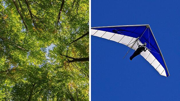 Windsto&szlig; weht H&auml;ngegleitflieger in Baumkrone