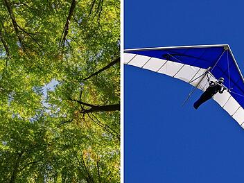 Windstoß weht Hängegleitflieger in Baumkrone