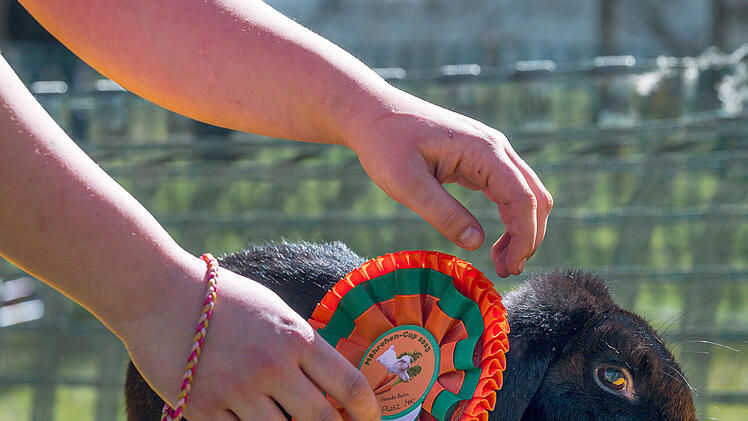 M&ouml;hrchen-Cup 2023