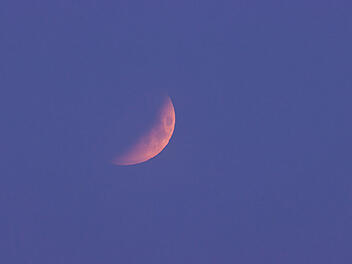 Totale Mondfinsternis am Morgenhimmel sichtbar
