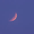 Totale Mondfinsternis am Morgenhimmel sichtbar