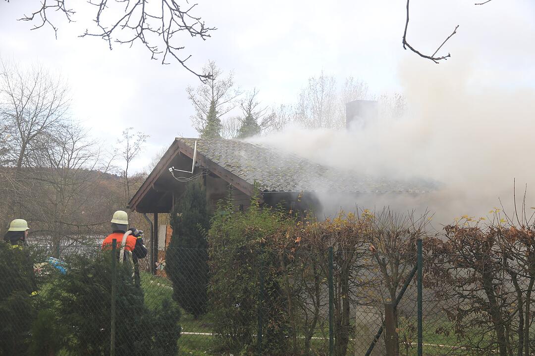 Oberfranken: Gartenhaus geht in Flammen auf - drei Welpen und eine Katze sterben