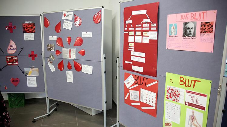 Es gab auch eine Ausstellung beim Gesundheits- und Familientag. Foto: Bettina Knauth