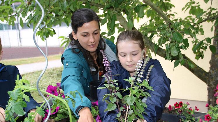 Impressionen vom Pilotprojekt der Kulmbacher Urban-Gardening-Gruppe mit den Melkendorfer Grundschülern Dagmar Besand