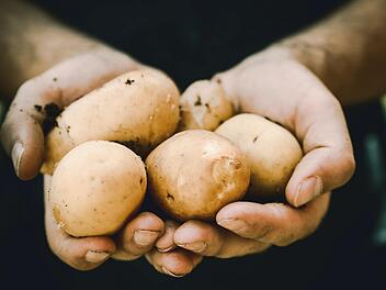 Kartoffeln