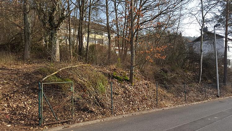 Das Grundstück, bevor Arnulf Hochmuth die Bäume gefällt hat.