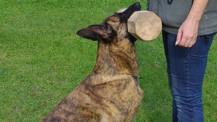 Kathy Förtsch und ihre Fly sind ein Traum-Duo. Das Bringholz wiegt stolze zwei Kilo  Fotos: Heike Schülein
