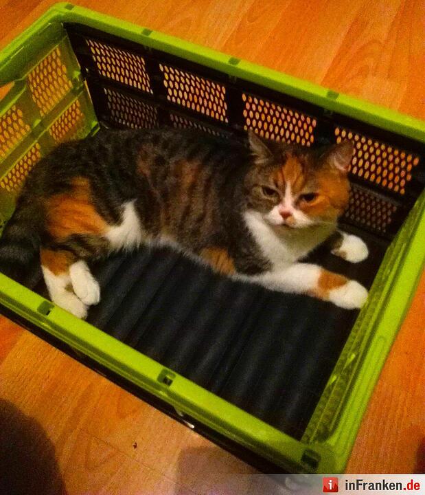 Foto: Sabrina Redosz