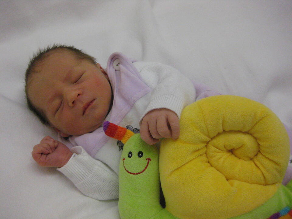 Babygalerie 338