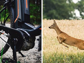 E-Bike-Fahrer st&ouml;&szlig;t mit Reh zusammen - und liegt &uuml;ber Nacht im Graben im Kreis Bad Kissingen