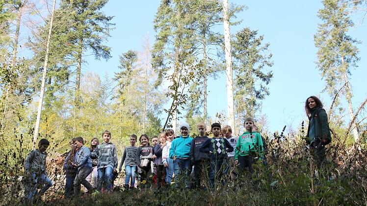 Naturkunde-Unterricht vor Ort: Im Stadtsteinacher Schulwald räumten jetzt Kinder der dritten und vierten Klasse vertrocknete Setzlinge.