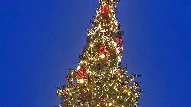 Bis Mitte Januar soll der Baum in Oudenaarde stehen.