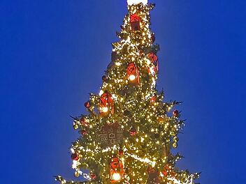 Bis Mitte Januar soll der Baum in Oudenaarde stehen.