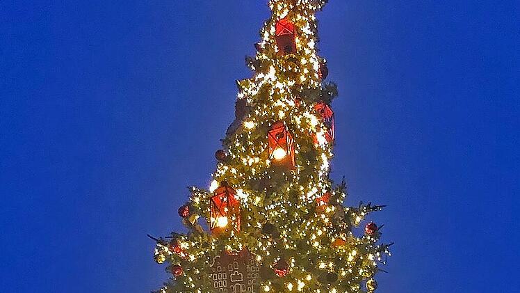 Bis Mitte Januar soll der Baum in Oudenaarde stehen.