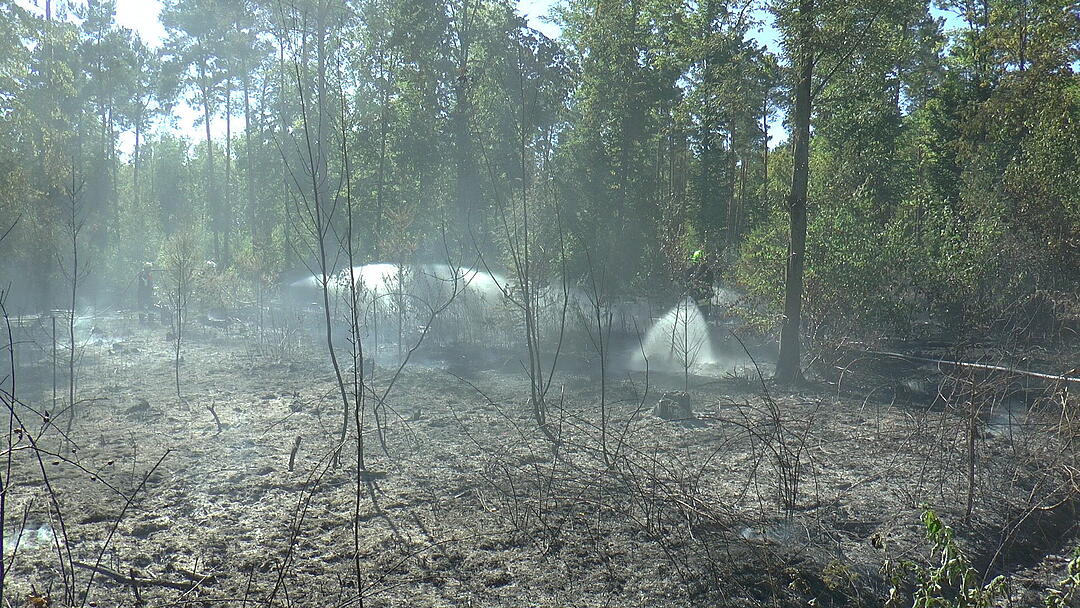 Waldbrand im Kreis Haßberge: Feuerwehr kämpft mit Großaufgebot gegen die Flammen