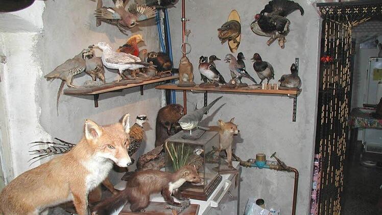 Überall im Haus blicken einen Tiere an. Foto: Helmut Will