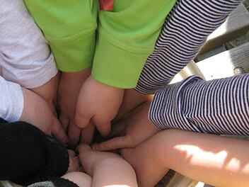 Wie fühlt sich der Samen für eine Blumenweide an? Beim Bienenprojekttag im Novizengarten konnten das  die Münnerstädter Kindergartenkinder selbst testen.Sabine Scheuble