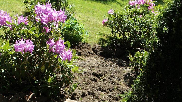 Die Schichten: Herumgedrehtes Gras, Karton, Rindenmulch. Foto: Lisa Kieslinger