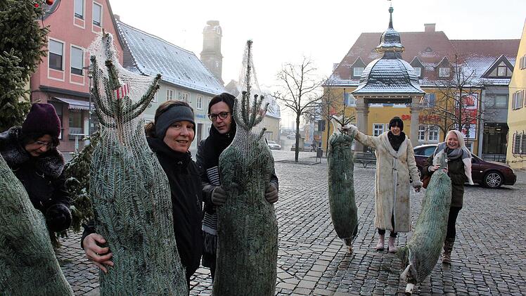 Christbaumvergabe auf dem Höchstadter Marktplatz. Die Bäume sollen ab 8. Dezember die Innenstadt zum Strahlen bringen .