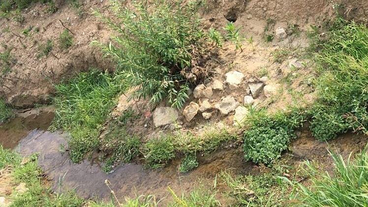 Steininseln sollen die Fließgeschwindigkeit des Weilersbaches verringern. Foto: Max Brust