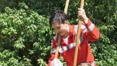 Ein unerschrockener Dreik&auml;sehoch probiert den Stelzenlauf.