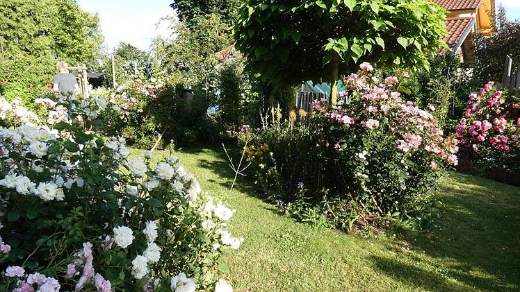 Im garten von Claudia und Simon Hafenecker