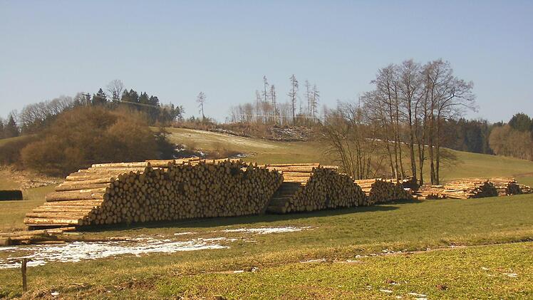 Viel Holz musste nach dem Sturm aufgearbeitet werdenDiana Becht-Zwetkov