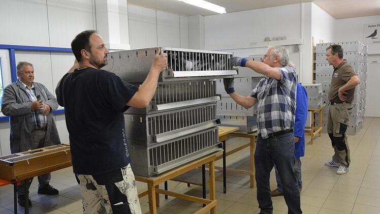 Beim Einsetzen der Tauben in Niederlauer sitzt jeder Handgriff.  Foto: Bj&ouml;rn Hein