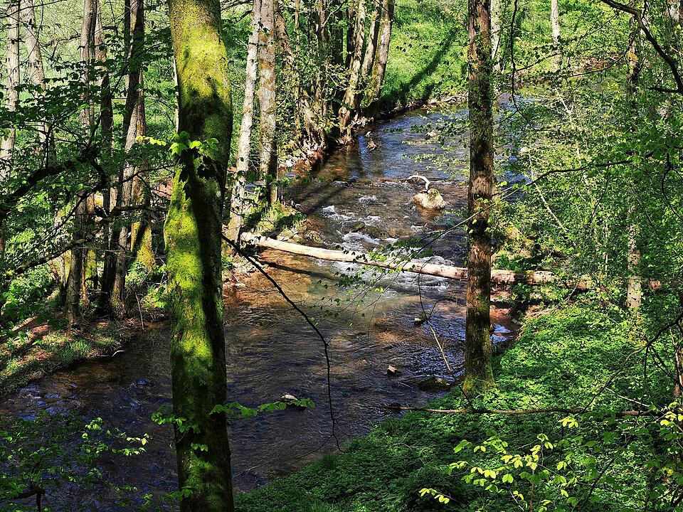 Die Wanderung führt durch eine Kernzone des Biosphärenreservats Rhön.