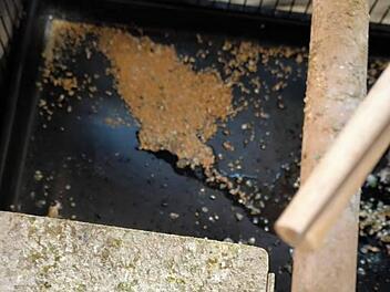 Tierheim Nürnberg schildert nächste Tierrettung - "katastrophale Verhältnisse"
