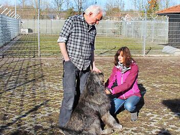 Wolfgang Bl&auml;sing, Vorsitzender des Tierschutzvereins, und Heimleiterin Ulrike Vogel verbringen viel Zeit im Tierheim. Der Schutz der Tiere ist ihnen eine Herzensangelegenheit.  Fotos: Theresa Schiffl