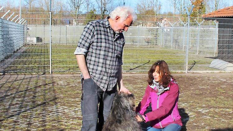 Wolfgang Bl&auml;sing, Vorsitzender des Tierschutzvereins, und Heimleiterin Ulrike Vogel verbringen viel Zeit im Tierheim. Der Schutz der Tiere ist ihnen eine Herzensangelegenheit.  Fotos: Theresa Schiffl