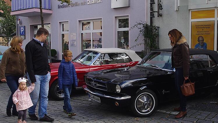 Impressionen vom Drei-L&auml;nder-Treffen in Kronach. Foto: Heike Sch&uuml;lein