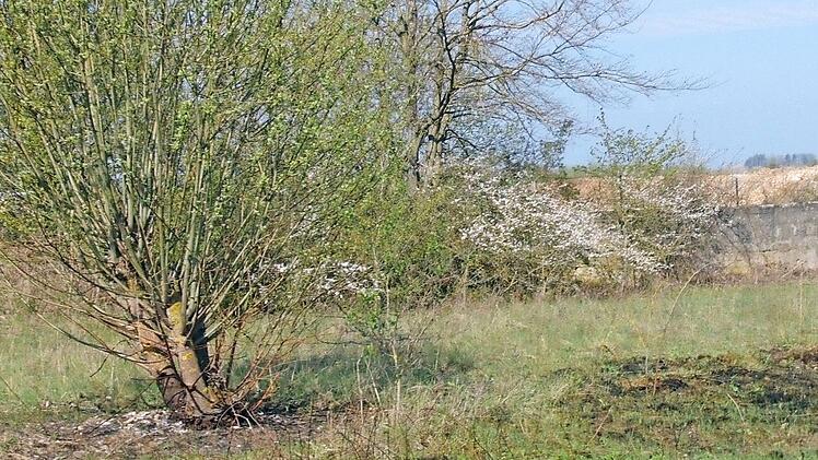 Regelmäßig wird die Feuerwehr zu einem Brand bei dem Grünflächen der Steinbruchaußenflächen gerufen. Foto: Petra Malbrich