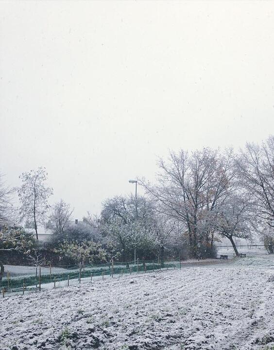 Leserbilder: Der erste Schnee in Franken